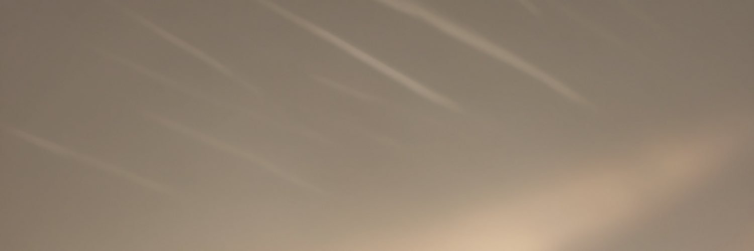 lil bun ™️ banner