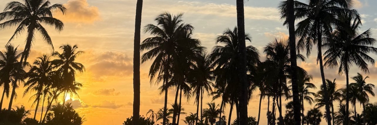 🦋 banner