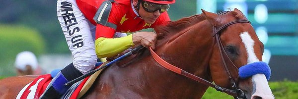 PakleniVuk Profile Banner