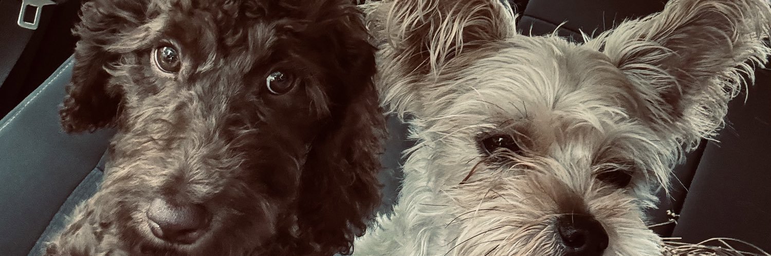 danieeeburt's profile banner image