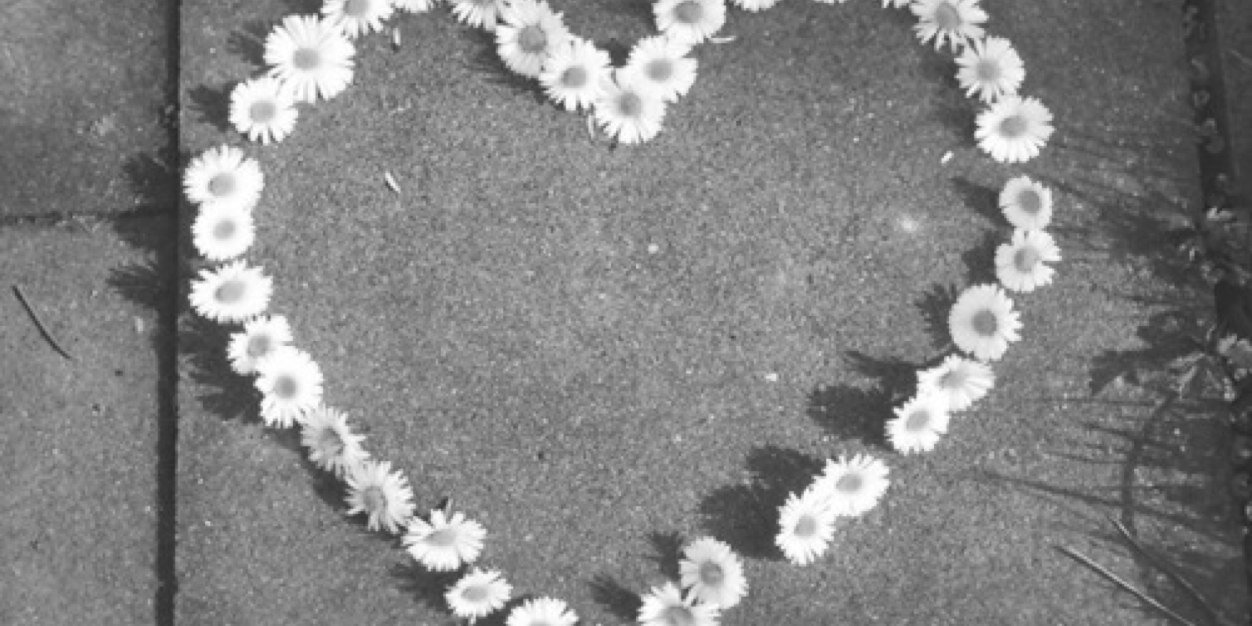 Saav_Nicolee's profile banner image