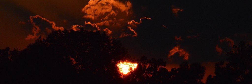 Photocromatic banner