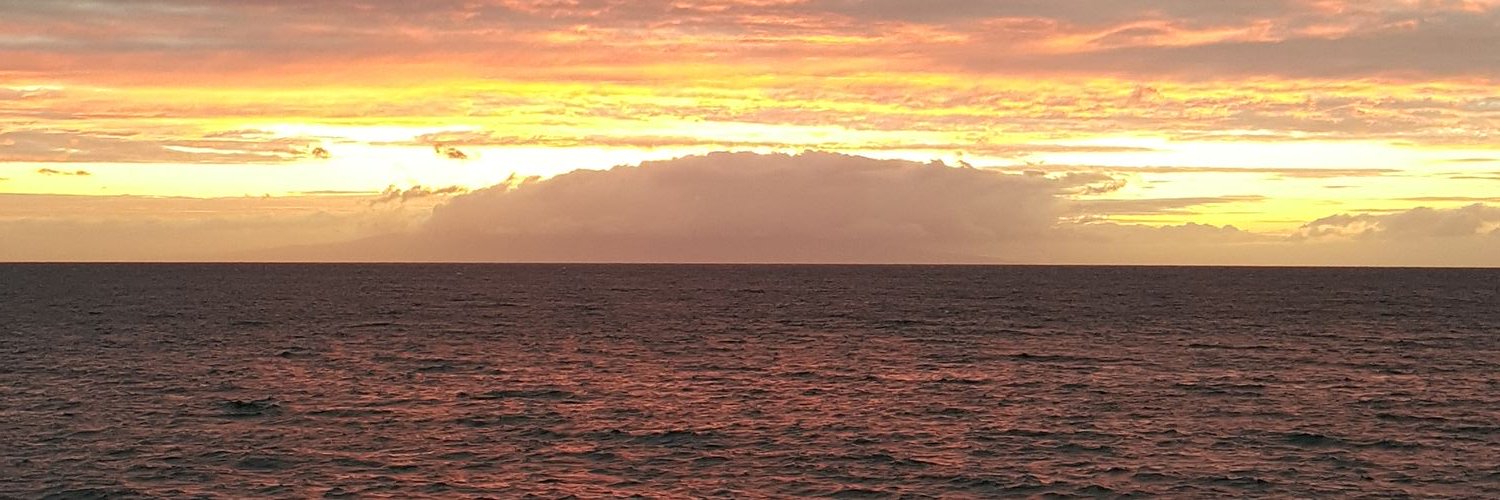 lilsnacks's profile banner image