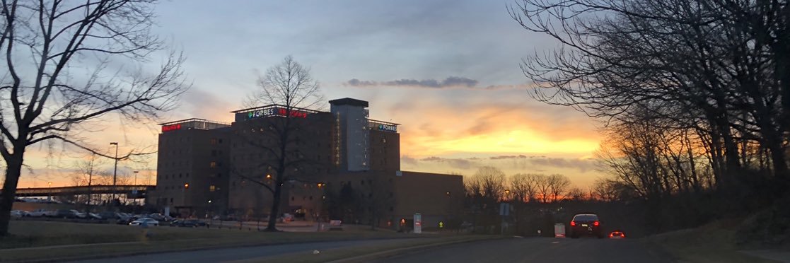 Ezz Moukamal, MD FHM banner