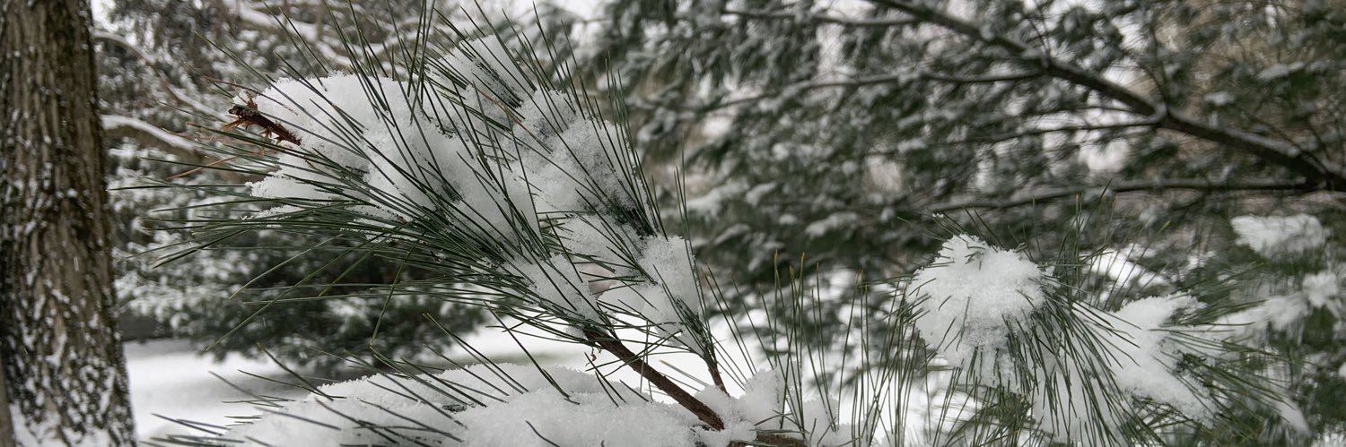Howling Husky banner