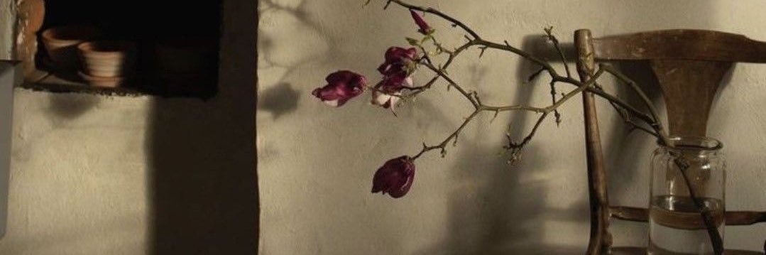 zeynep___16's profile banner image