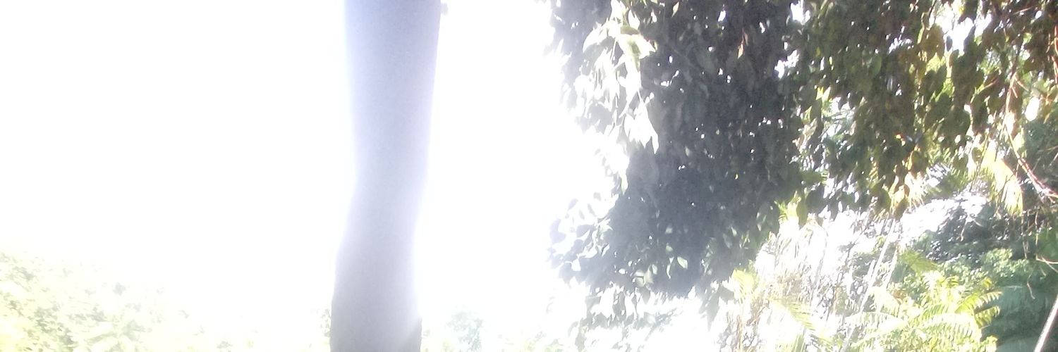 ACDiniz_Jr's profile banner image