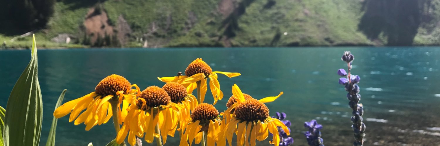 LexiLynn30's profile banner image