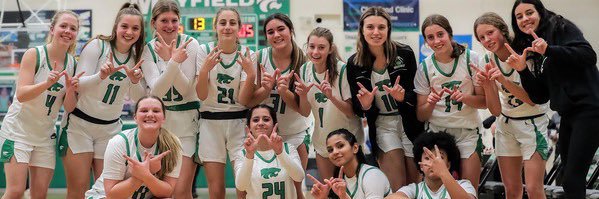 Mayfield Wildcats Girls Basketball banner