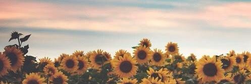 milyline's profile banner image