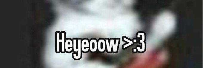 Celia Store kitty guitar 65k banner