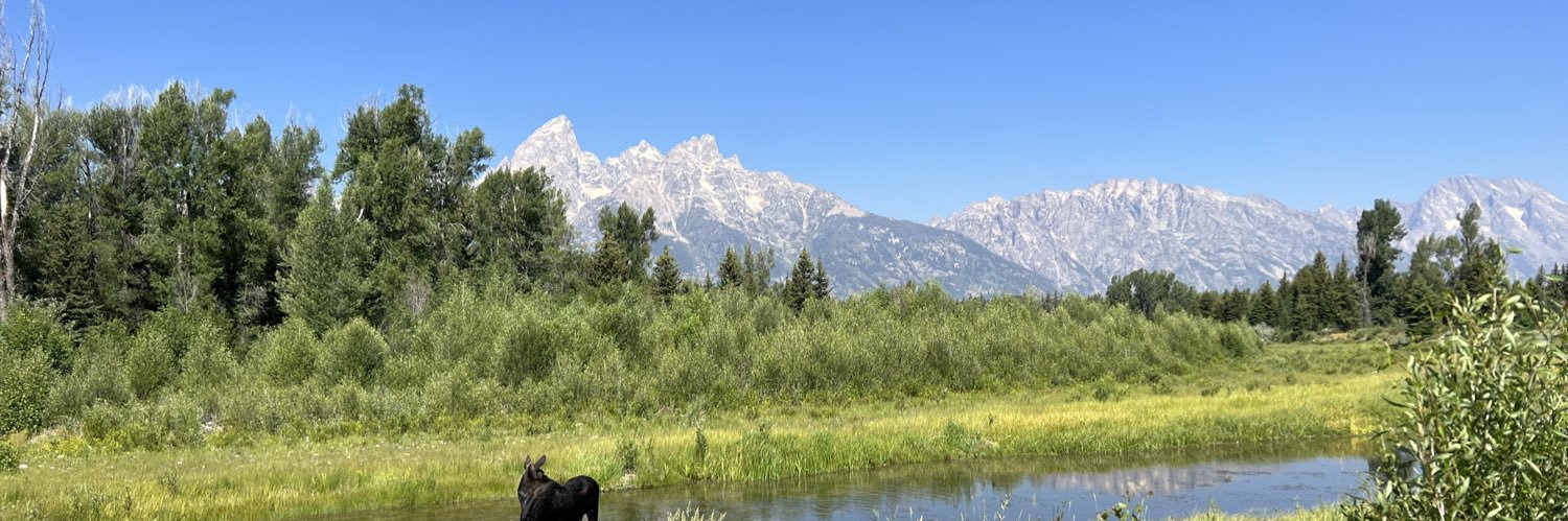 Makenzie Maher banner