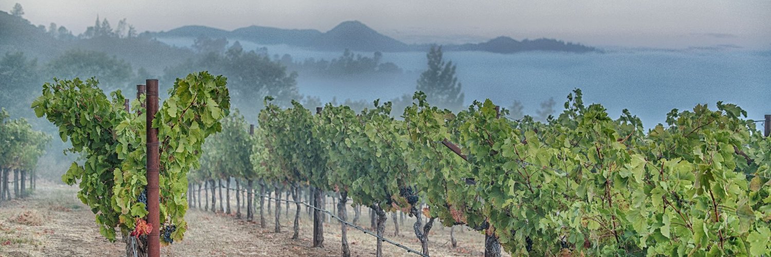 Robert Craig Winery banner