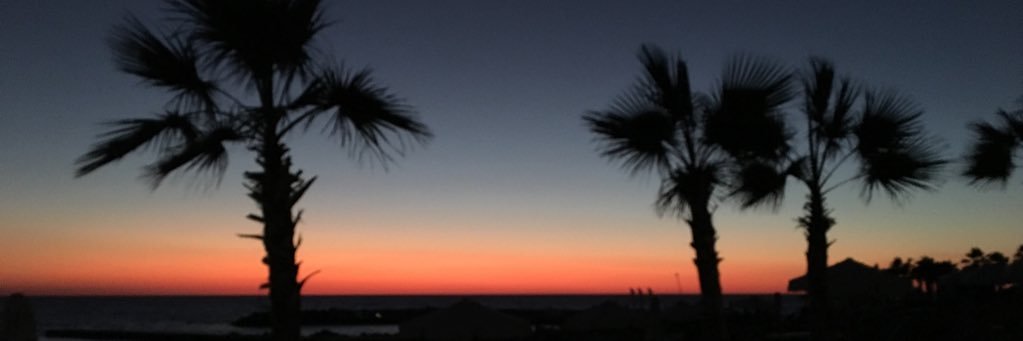 Astrid C-Lelliott banner