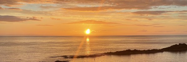 tommclevy Profile Banner