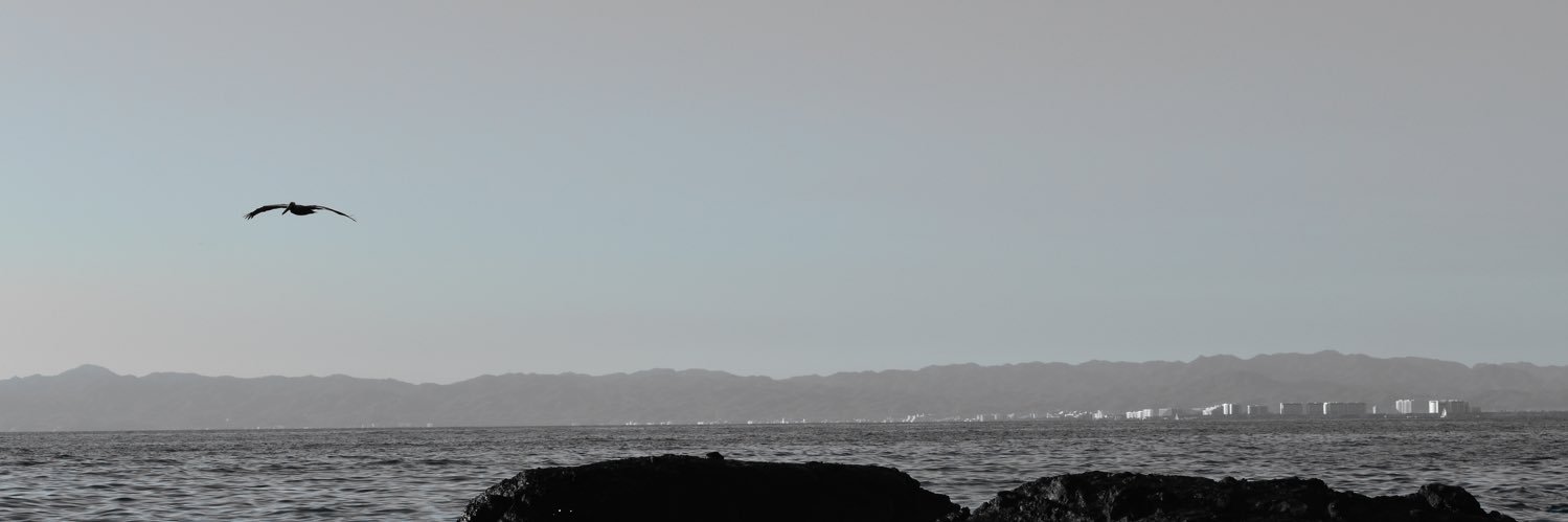 Alejandro Rea banner