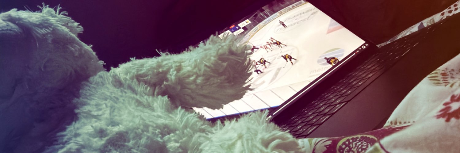 LauraneBastide's profile banner image