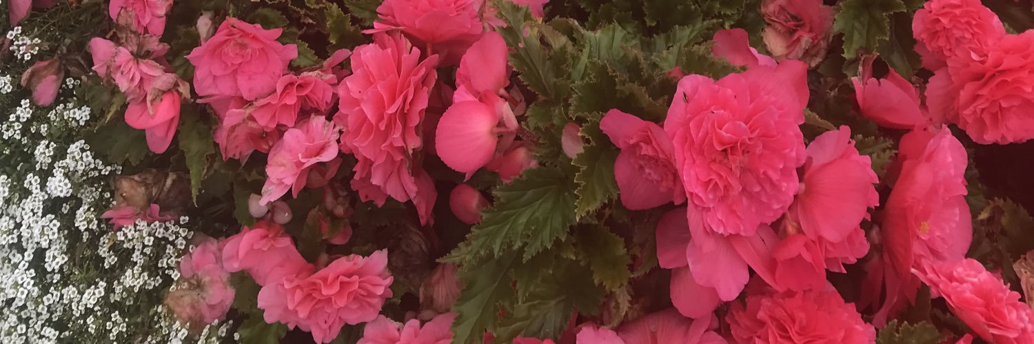 MarianKildare's profile banner image
