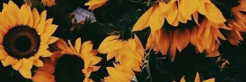 andiebailey91's profile banner image