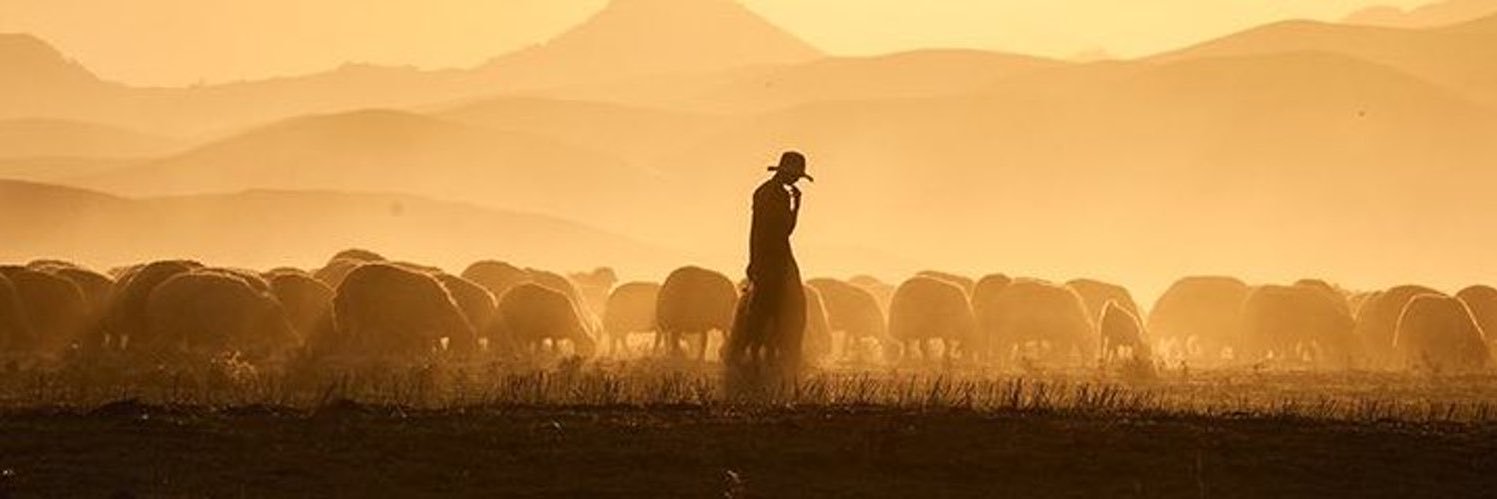MalaverJR's profile banner image