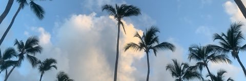 meaghannnn. banner