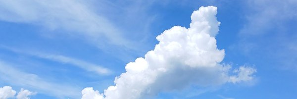 sparklingwolf Profile Banner