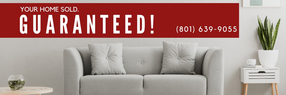 thesternteam's profile banner image