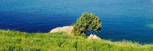 rzatan Profile Banner