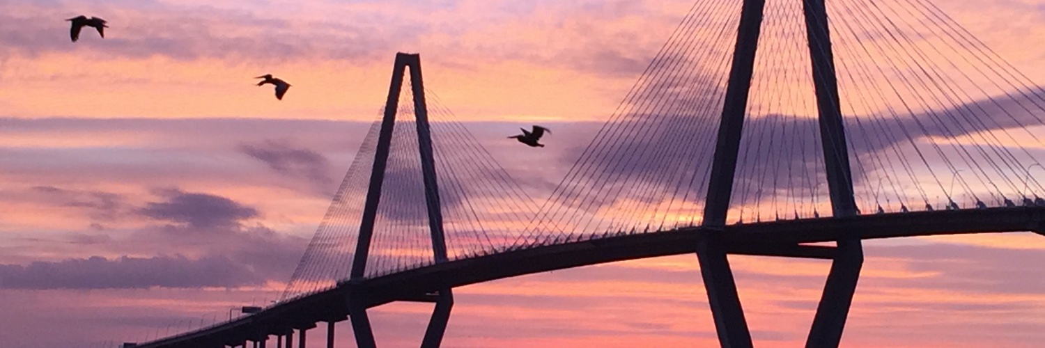 Realtor_CHS's profile banner image