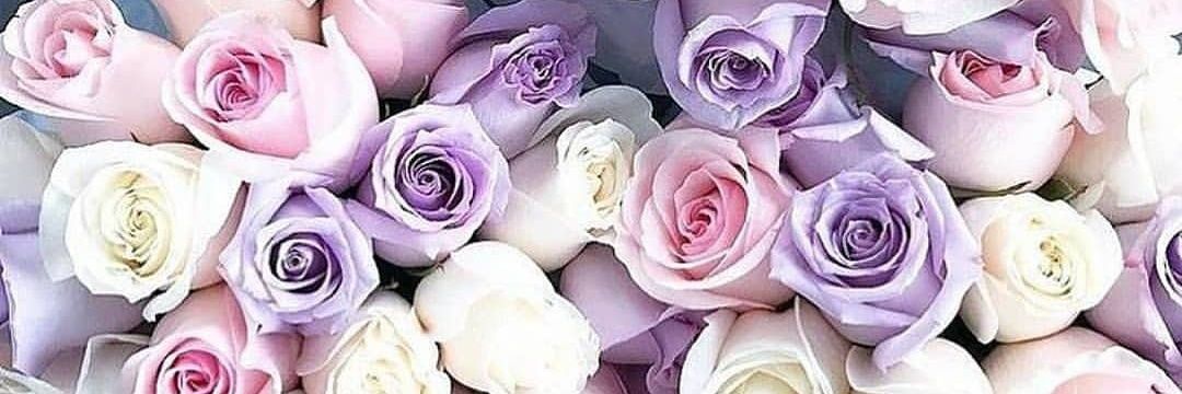 fatima_loria's profile banner image