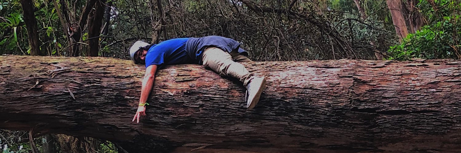 JPazyAmor's profile banner image