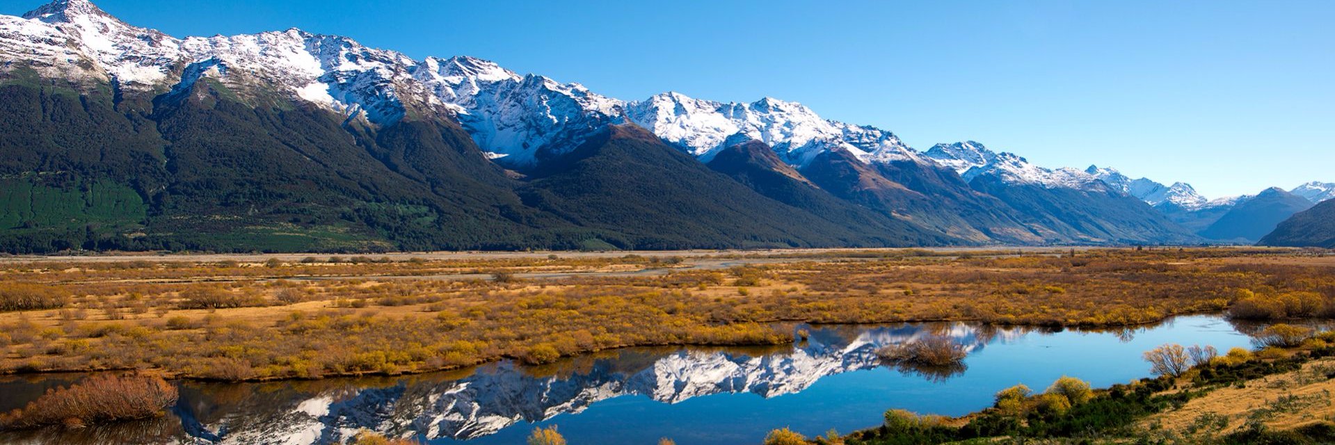 Alejandro LL. banner