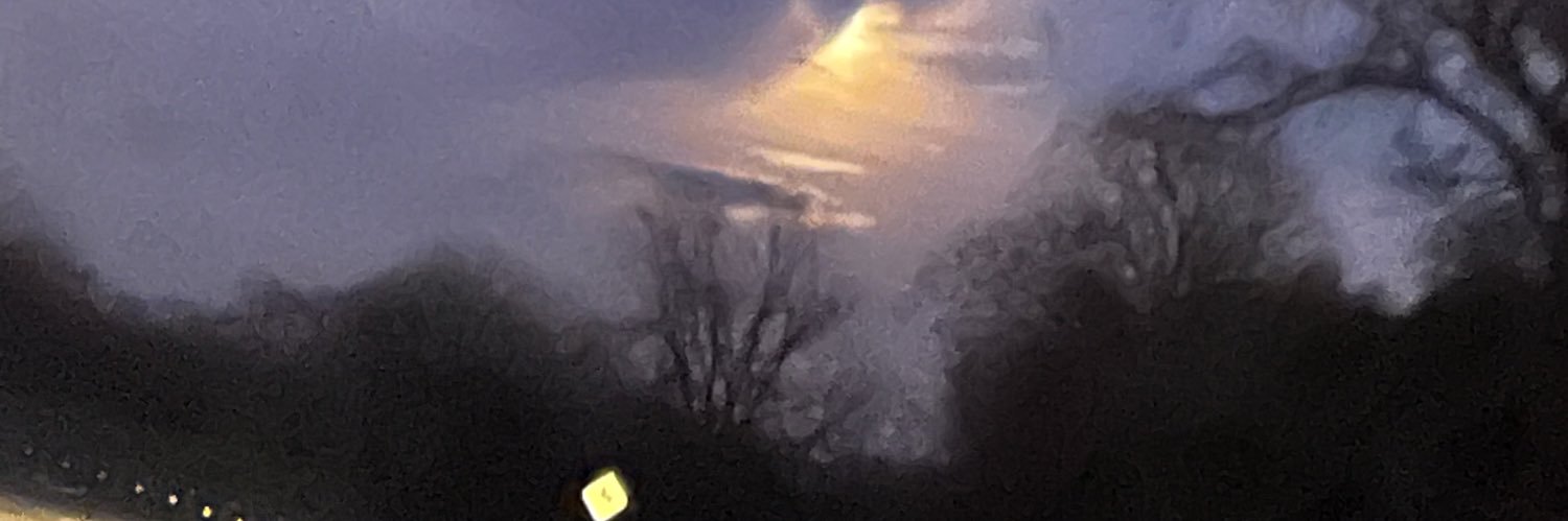 Elexsanii's profile banner image