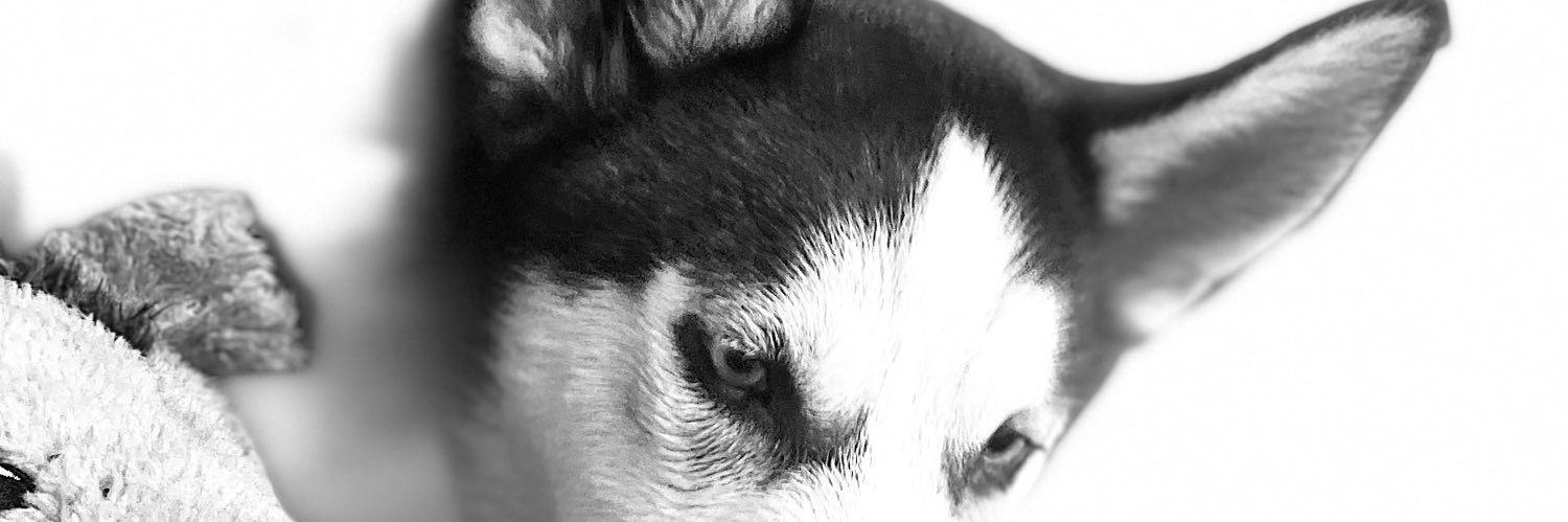 STAROFDIONYSIOS's profile banner image