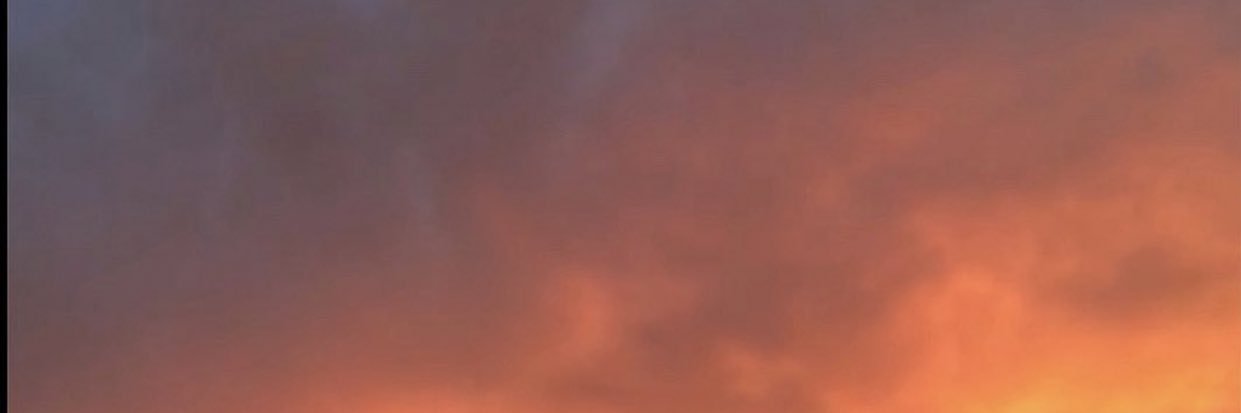 lilbrannn's profile banner image