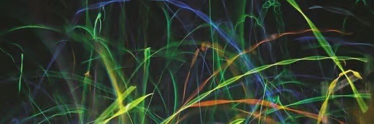 Lee Weatherly banner