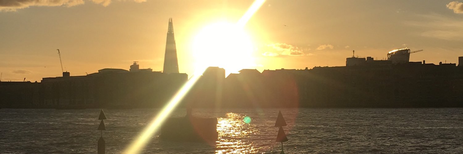 SymBear3's profile banner image