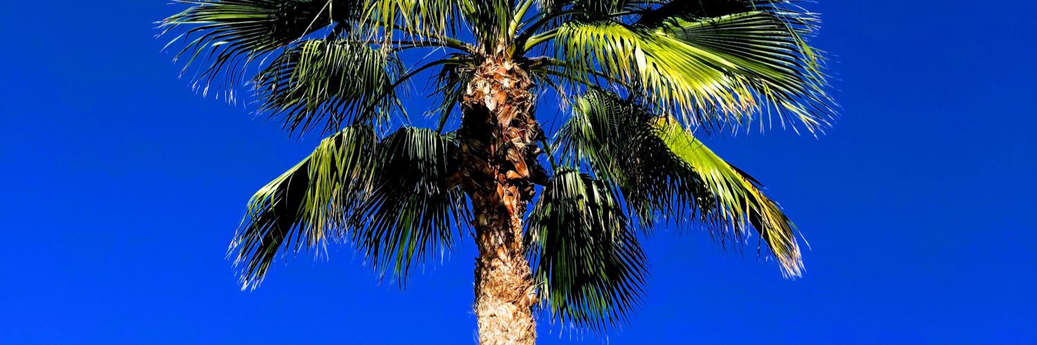 Tan_Beachman's profile banner image