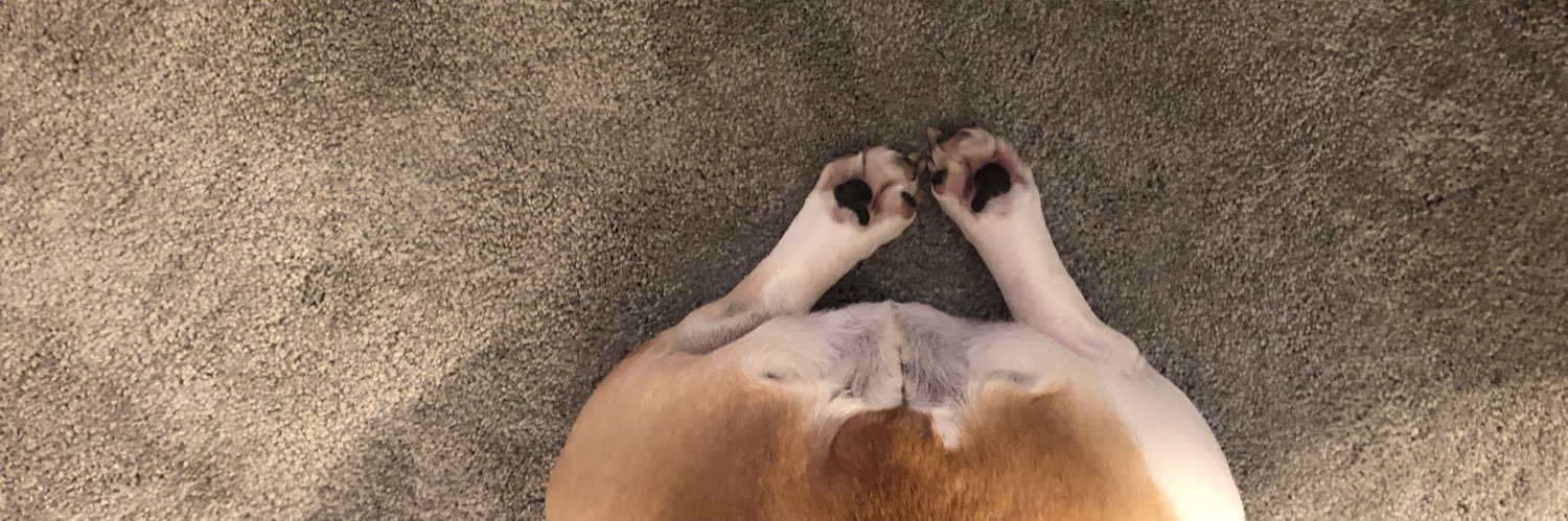breee_shoemaker's profile banner image