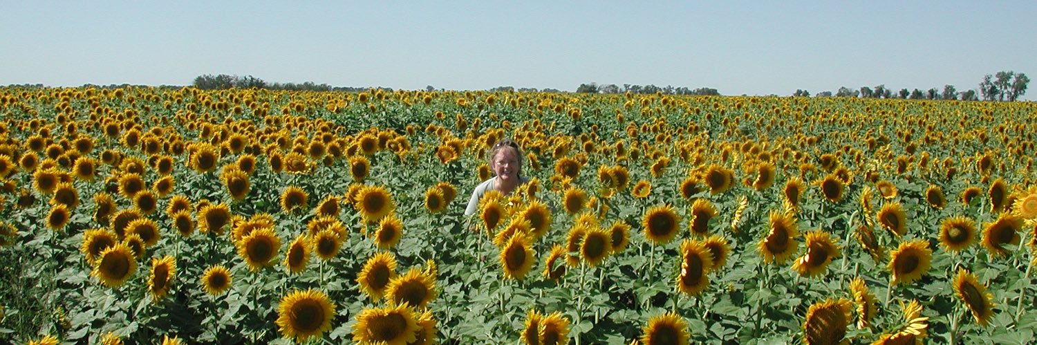 greenleeves's profile banner image
