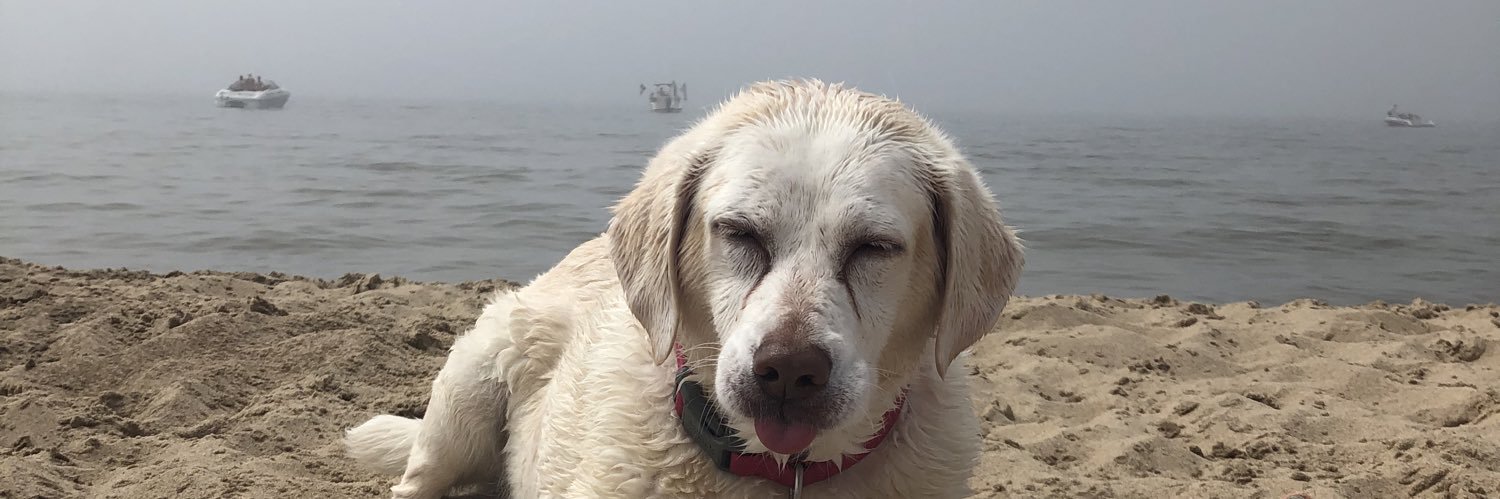 Miranda Beadlescomb banner