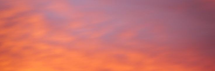 jelrt_'s profile banner image