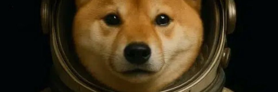 Animals In Crisis banner