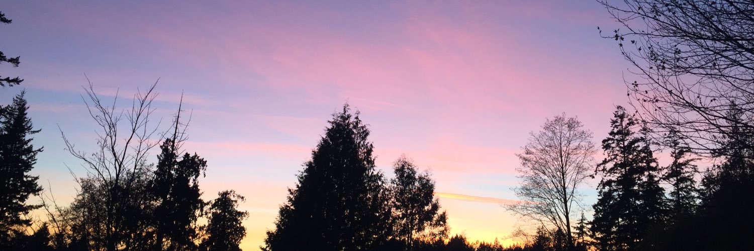 ThePerfectWreck's profile banner image