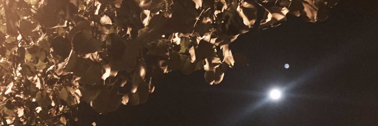 whatdahail's profile banner image