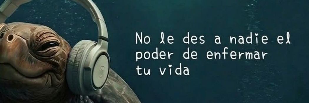 🎀 banner
