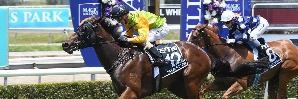 Gollan Racing banner