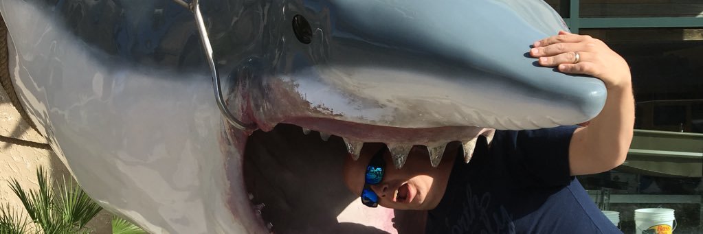 dominicwray's profile banner image