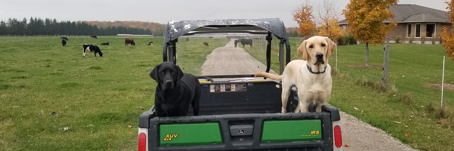 tractor_fondler's profile banner image