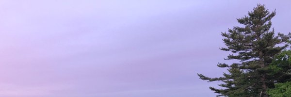 beckynathanson Profile Banner